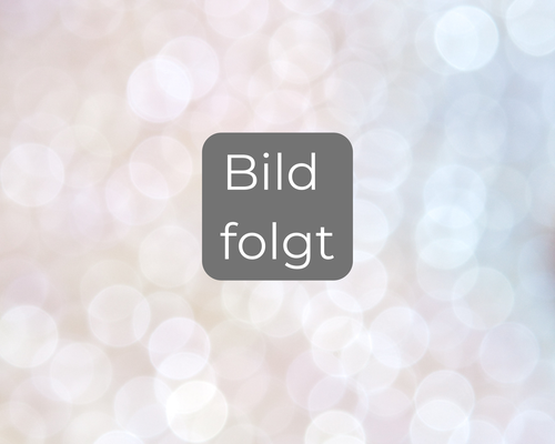 stellv. Vorstandsvorsitzende